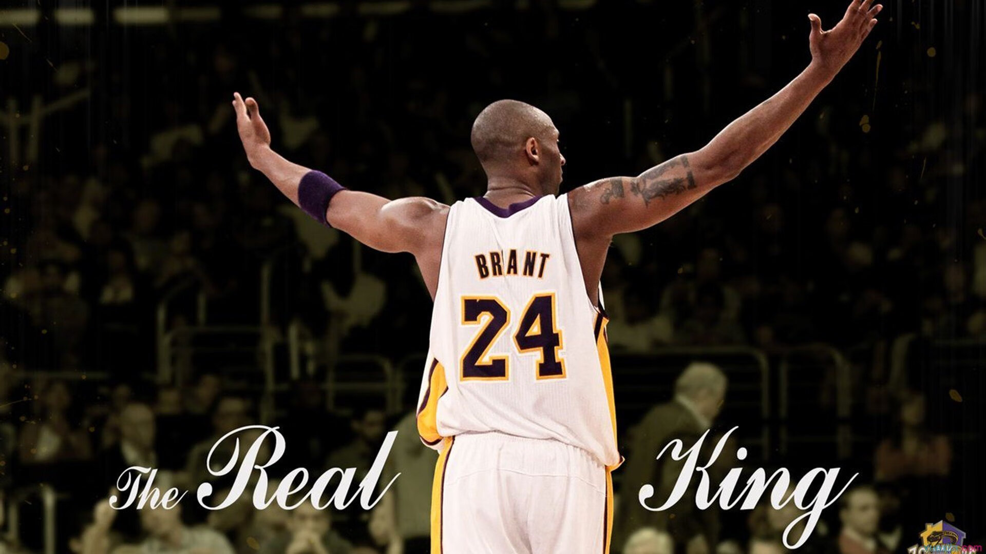 “季后赛资格逐步明朗,焦点战役带你直击现场”