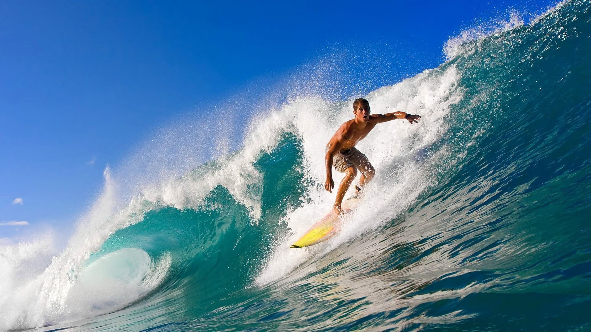 九游官网-游泳选手体能分配策略科学，游泳运动员体型选材