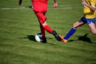 jiuyou.com-男篮国家队专项安排外线射手训练增强火力输出，男篮外援